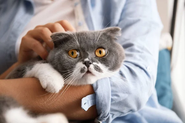 Mujer Acariciando Gato Casa Primer Plano — Foto de Stock