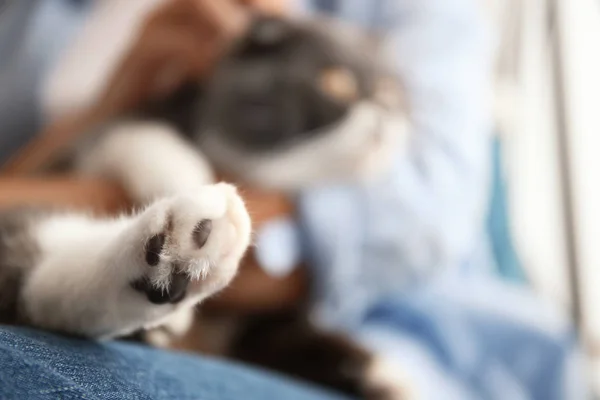 Mulher Acariciando Seu Gato Casa Close — Fotografia de Stock