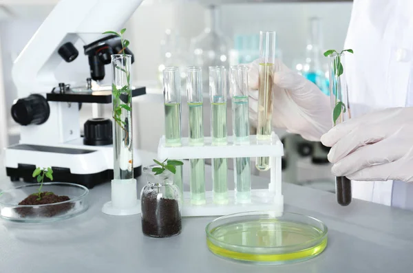 Analista Con Tubos Ensayo Haciendo Análisis Químicos Laboratorio Primer Plano — Foto de Stock