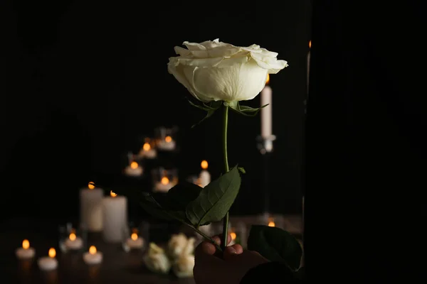 Frau Mit Schöner Weißer Rose Auf Verschwommenem Hintergrund Begräbnissymbol — Stockfoto