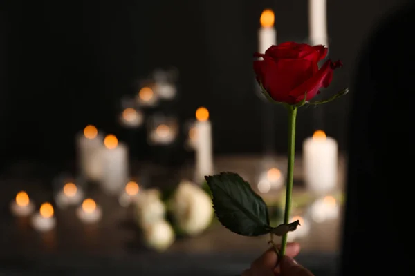 Mujer Sosteniendo Hermosa Rosa Roja Sobre Fondo Borroso Símbolo Funerario — Foto de Stock