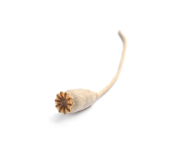 白背景种子的干罂粟头 — 图库照片