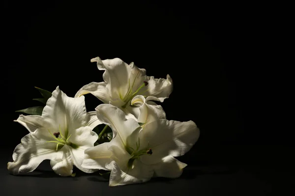 Schöne Lilien Auf Dunklem Hintergrund Mit Platz Für Text Beerdigungsblumen — Stockfoto