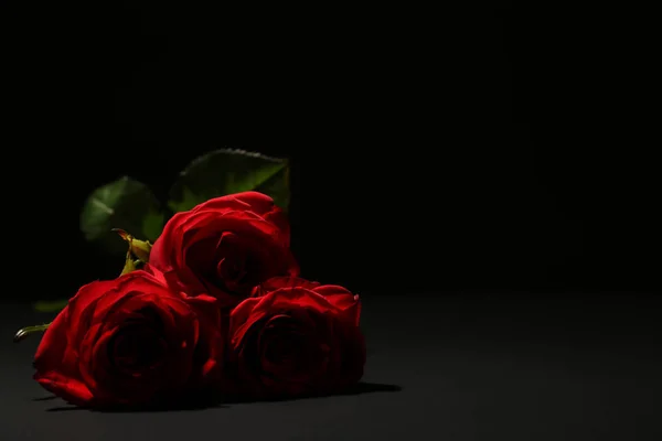 Beautiful Roses Dark Background Space Text Funeral Flowers — Stock Photo, Image