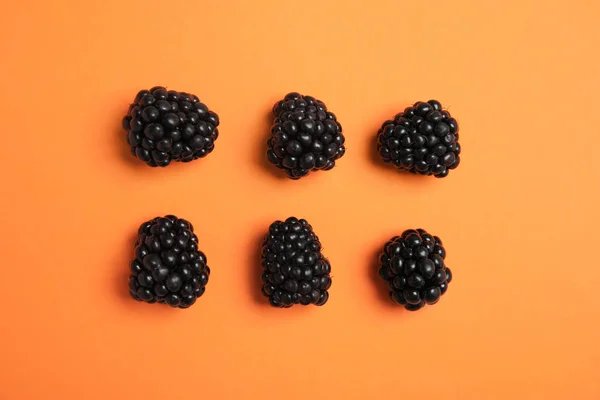 Flat Lay Composition Ripe Blackberries Color Background — Stock Photo, Image