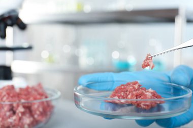 Petri kabına ham karşılamak ve cımbız, closeup ile tutarak analisti. Laboratuvar analiz