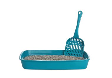 Beyaz arka plan üzerinde kepçe ile kedi tuvalet. Evde beslenen hayvan kaygı