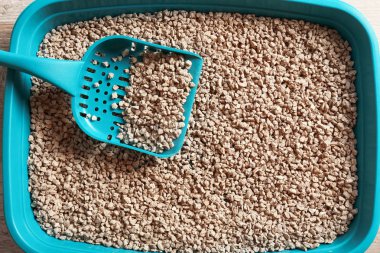 Kepçe, üstten görünüm ile kedi tuvalet. Evde beslenen hayvan kaygı