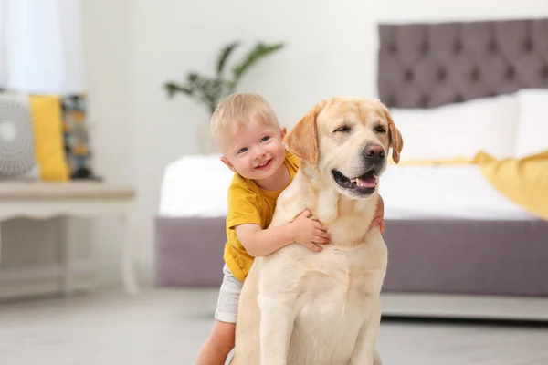 Adorável Amarelo Labrador Retriever Menino Casa — Fotografia de Stock