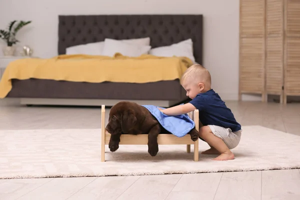 Niño Jugando Con Adorable Labrador Chocolate Recuperador Casa — Foto de Stock