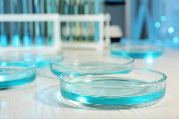 研究室ではテーブルの上の液体でシャーレ 化学分析 — ストック写真
