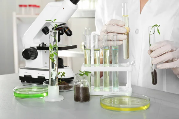 Test laboratuvarında, closeup kimyasal analiz yapıyor tüpleri ile analisti