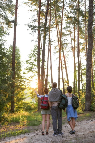 Jonge Vrienden Bos Zomerdag Camping Seizoen — Stockfoto