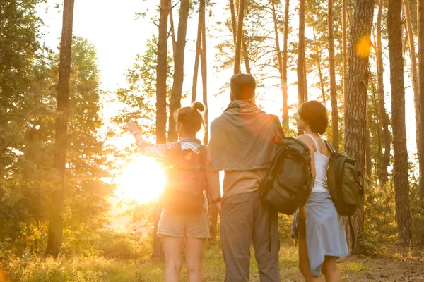 Young Friends Forest Summer Day Camping Season — Stock Photo, Image
