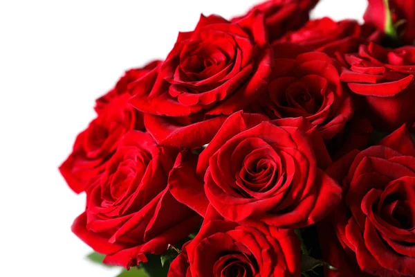 Beautiful Red Rose Flowers Light Background Stock Photo