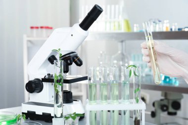 Test laboratuvarında, closeup kimyasal analiz yapıyor tüpleri ile analisti