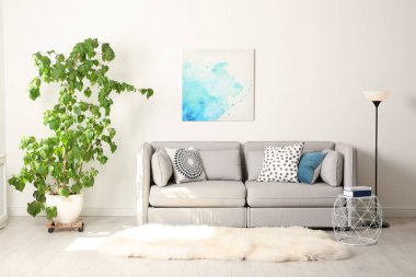Şık odası iç büyük houseplant ve kanepe