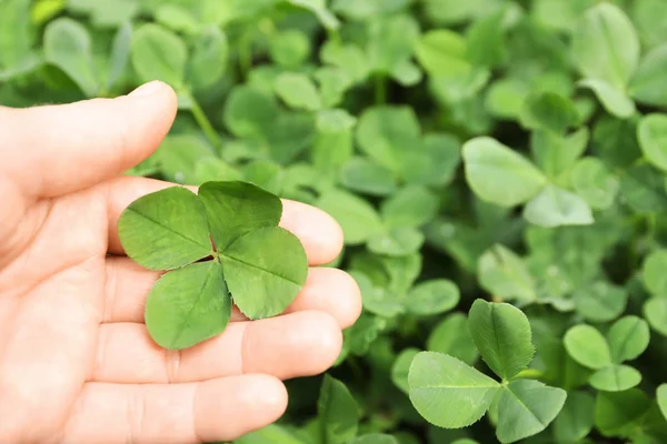 Žena Držící Čtyři Leaf Clover Venku Closeup — Stock fotografie