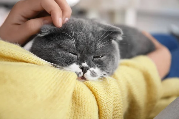 Frau Streichelt Ihre Katze Hause Nahaufnahme — Stockfoto