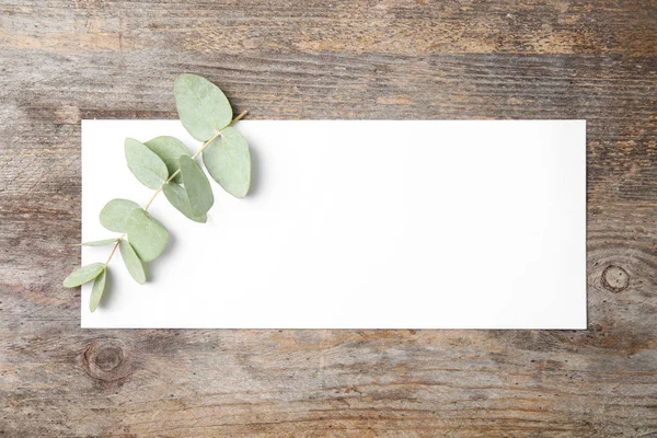 Folhas Eucalipto Fresco Cartão Branco Com Espaço Para Design Fundo — Fotografia de Stock