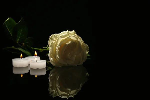 Πανέμορφο Λευκό Τριαντάφυλλο Και Κεριά Μαύρο Φόντο Κηδεία Σύμβολο — Φωτογραφία Αρχείου