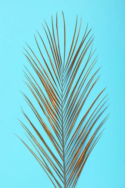 Painted tropical Date palm leaf on color background, top view