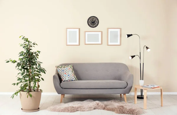 Stijlvolle Woonkamer Interieur Met Ficus Slaapbank Buurt Van Lichte Muur — Stockfoto