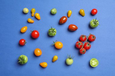 Renk arka plan üzerinde farklı lezzetli domates ile düz yatıyordu kompozisyon