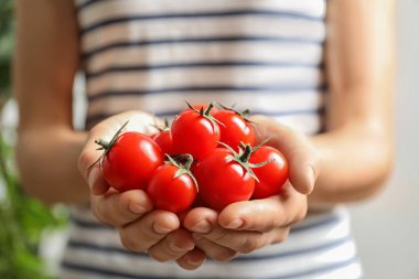 Olgun kırmızı domates bulanık arka planda, closeup tutan kadın