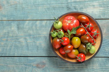 Ahşap arka plan üzerinde farklı domates, metin için yer ile üstten görünüm kase