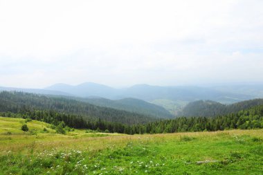 Dağ orman ve çayır pitoresk, yatay