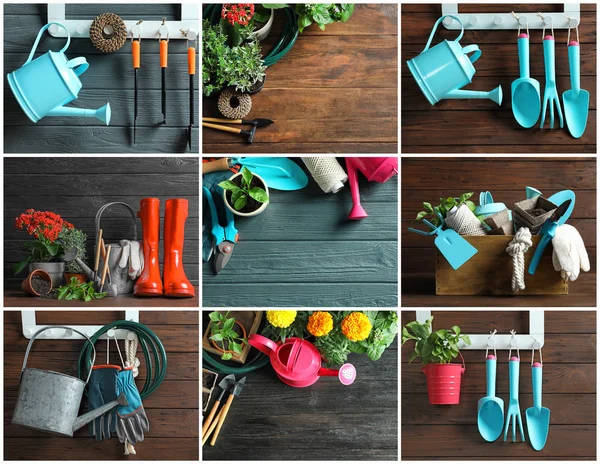 Set with modern gardening tools on wooden background
