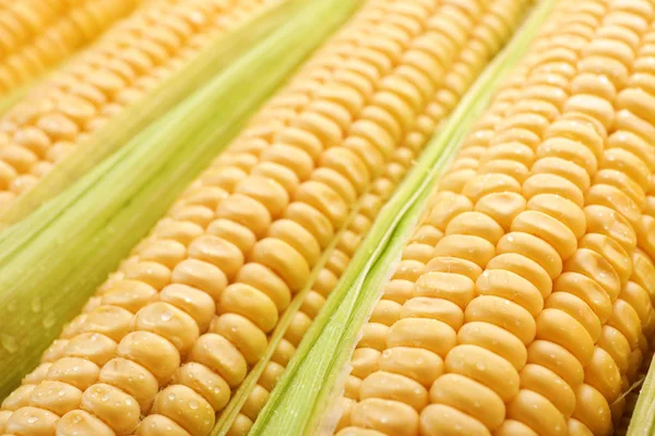 Chutné Kukuřice Cobs Jako Pozadí Detailní Záběr — Stock fotografie