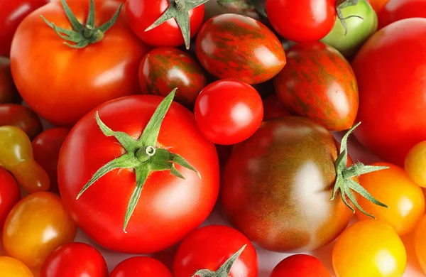 Diversi Tipi Pomodori Come Sfondo Primo Piano — Foto Stock