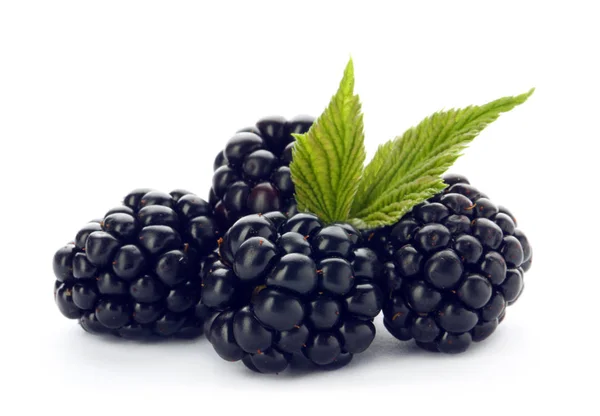 Fresh Ripe Juicy Blackberries White Background — Stock Photo, Image