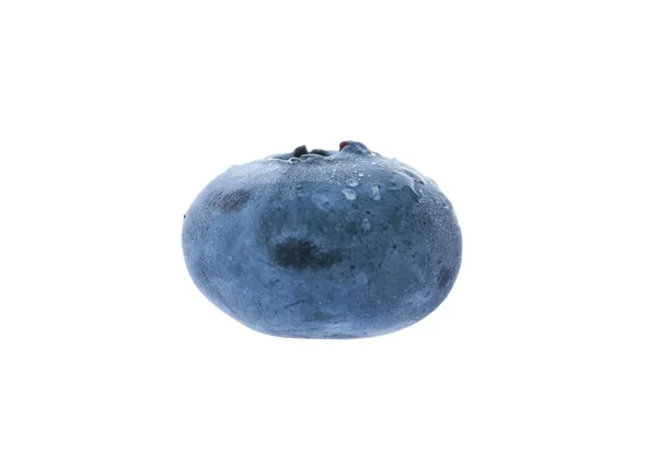 Friss Érett Blueberry Fehér Háttér Szerves Bogyó — Stock Fotó