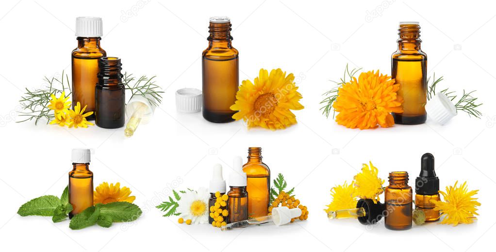 Set with different essential oils on white background