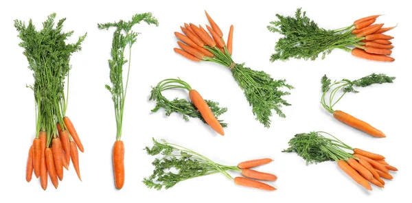 Ensemble Avec Des Carottes Fraîches Mûres Sur Fond Blanc — Photo