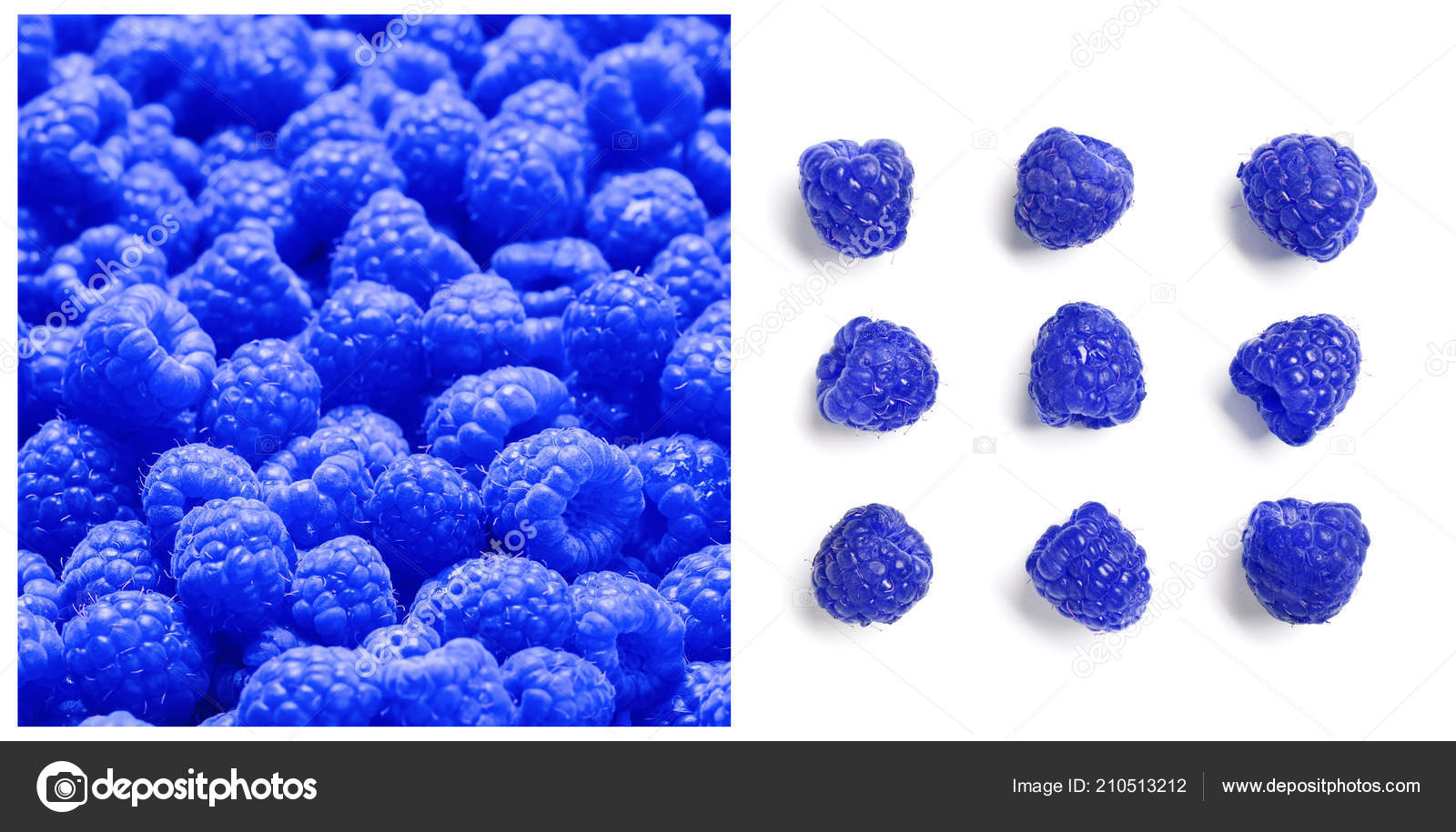 What Is A Spayed Female Cat Called Sale 1692653450