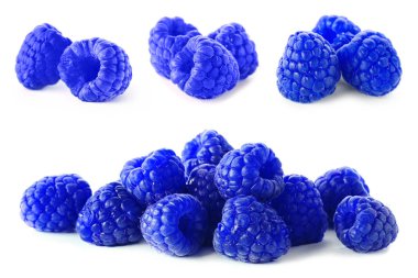 Beyaz zemin üzerine mavi Ahududu (Rubus leucodermis) ile ayarla