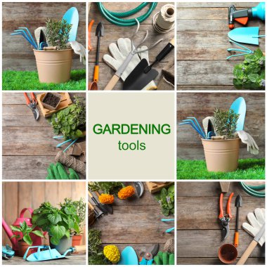 Modern Bahçe aletleri ile ahşap arka plan ayarla