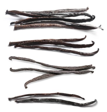 Beyaz arka plan üzerinde ile vanilya pods ayarla