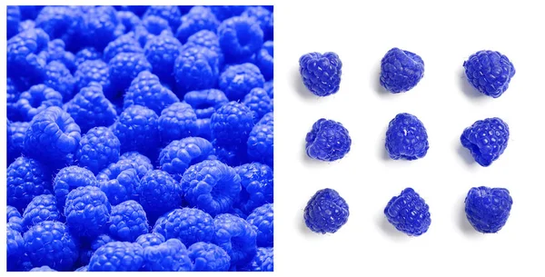 Set con frambuesas azules (Rubus leucodermis) sobre fondo blanco 2024