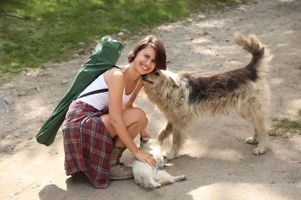 Junge Frau Die Draußen Mit Streunenden Hunden Spielt Campingsaison — Stockfoto