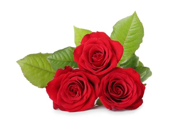 Prachtige Rode Rozen Witte Achtergrond Begrafenis Symbool — Stockfoto