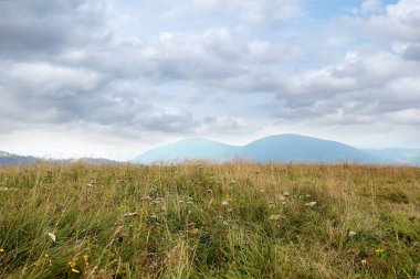 Dağ çayır ile pitoresk manzara