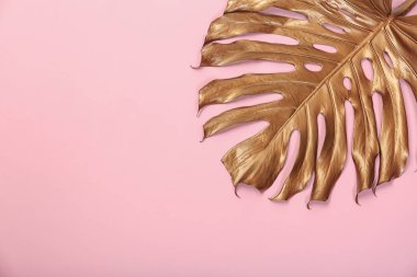 Tropikal Monstera yaprak ve renk arka plan, üstten görünüm üzerinde metin için yer boyalı