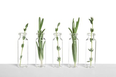 Satır biberiye ve kekik beyaz arka plan üzerinde ile cam şişe