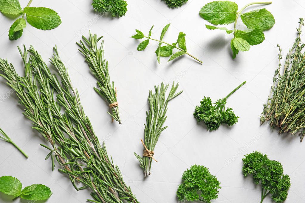 Flat lay composition with rosemary on light background. Aromatic herbs