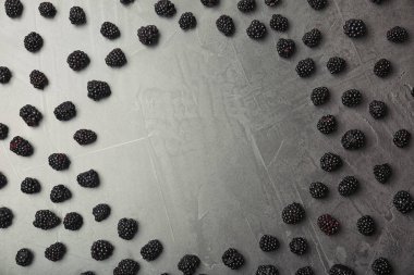 Taze böğürtlen ve gri arka plan üzerinde metin için yer düz yatıyordu kompozisyonu